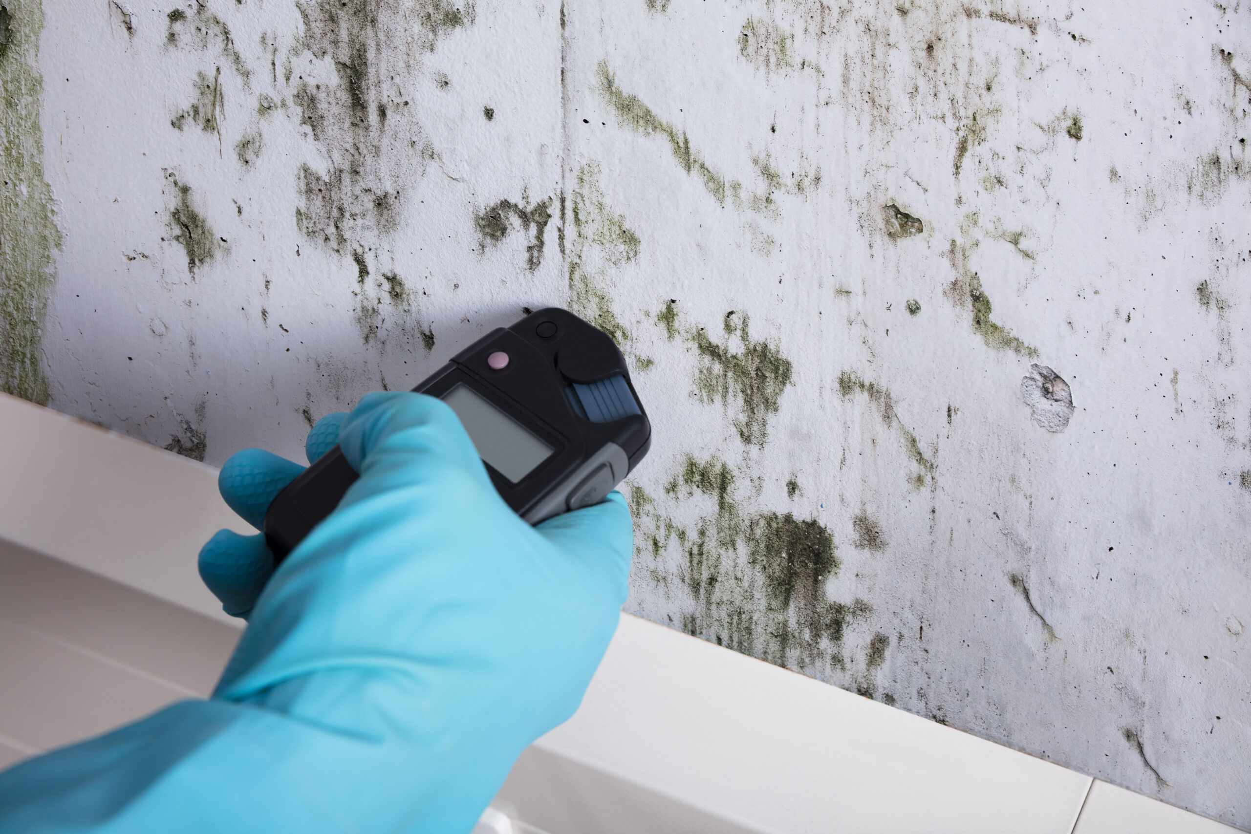 St. Louis Mold Testing Services - Air Sense Environmental