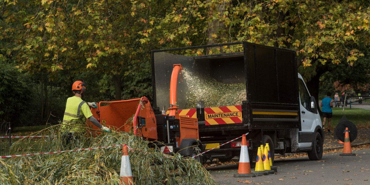 Tree Survey in North London: Ensuring Urban Greenery Flourishes