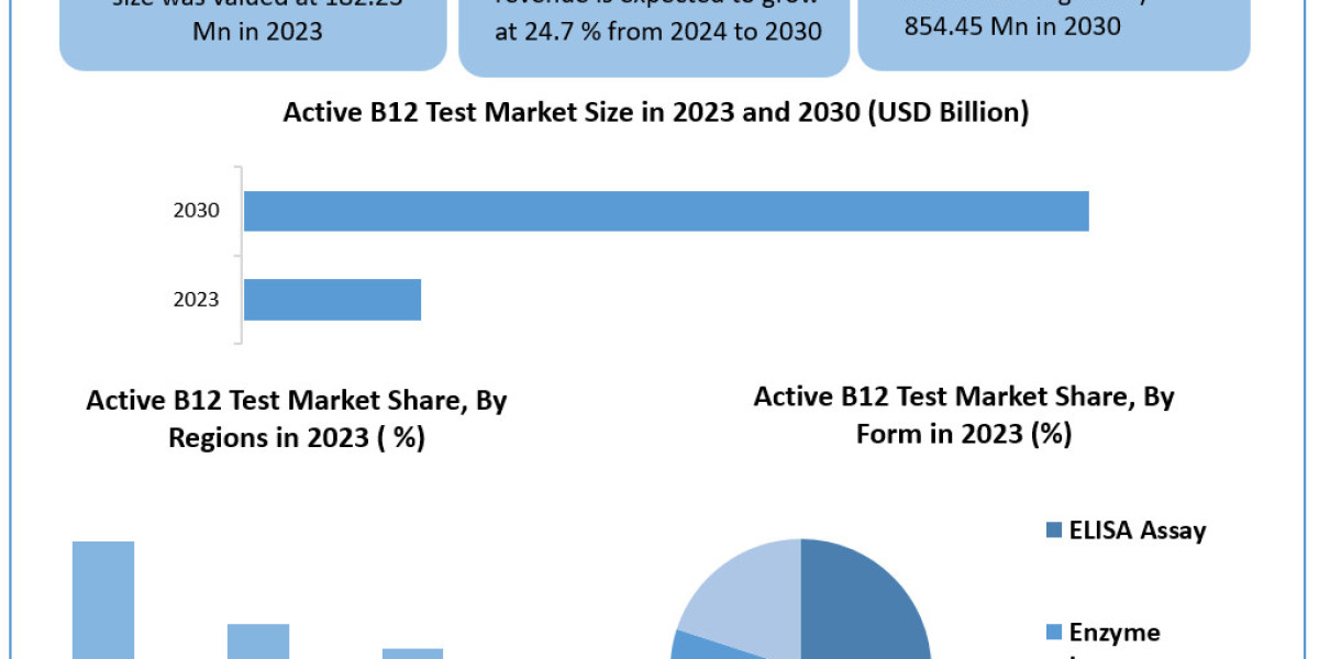 Active B12 Test Market Data Dimensions: Size, Share, Revenue, and Worth Statistics Overview | 2024-2030