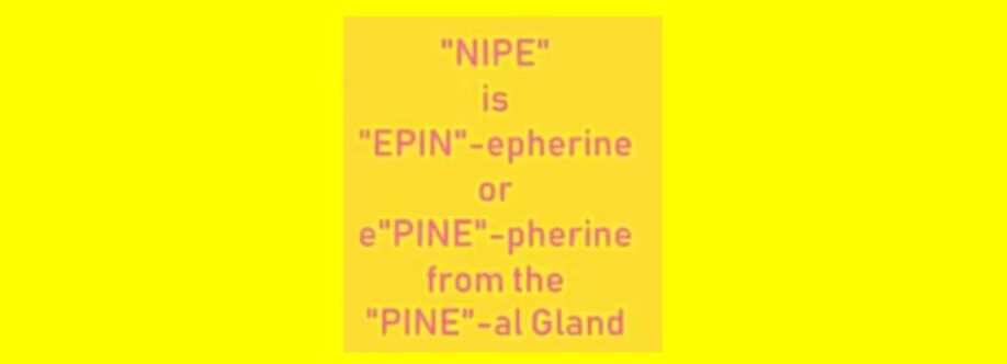 -Nipe Cover Image