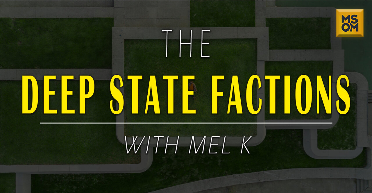 The Deep State Factions with Mel K