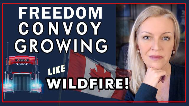 Amazing Polly: Freedom Convoy Growing Like Wildfire! The World Is Watching So Join Now! - Must Video  - best news here