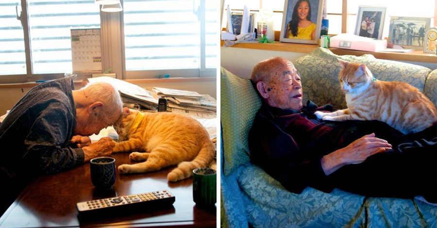 Japanese Girl Got A Cat For Her Sick And Grumpy Grandpa, And He Changed His Life