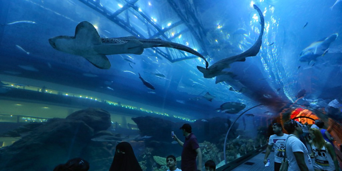 What You Need to Know About the Dubai Aquarium & Underwater Zoo