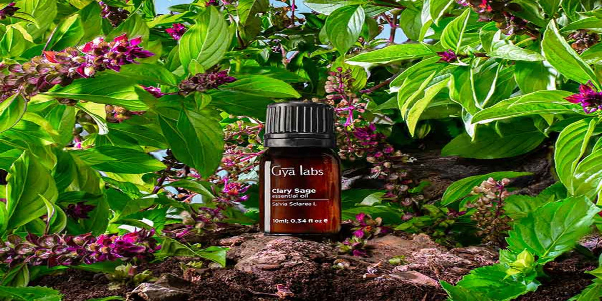 Discover the Magic of Aromatherapy: Buy GyaLabs Clary Sage Oil