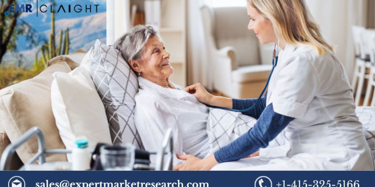 Navigating the Home Healthcare Market: A Detailed Exploration