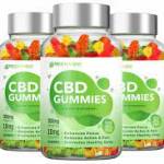 GreenVibe CBD Gummies Profile Picture