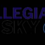 allegiant sky profile picture