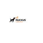 ruckusnetworks profile picture