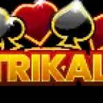 Trikal Info profile picture