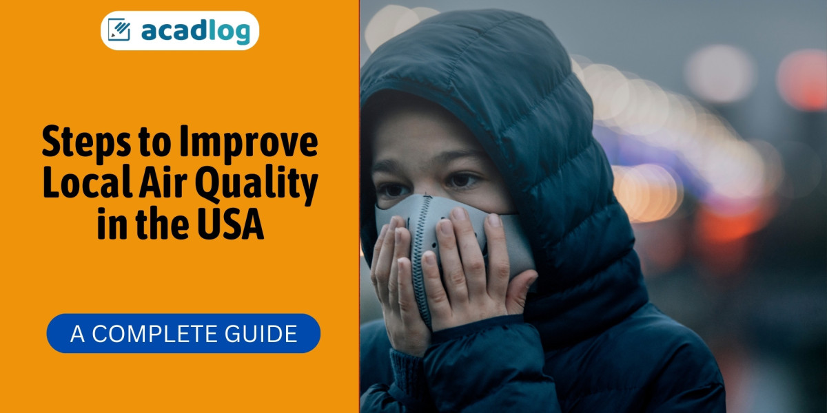 Steps to Improve Local Air Quality in the USA