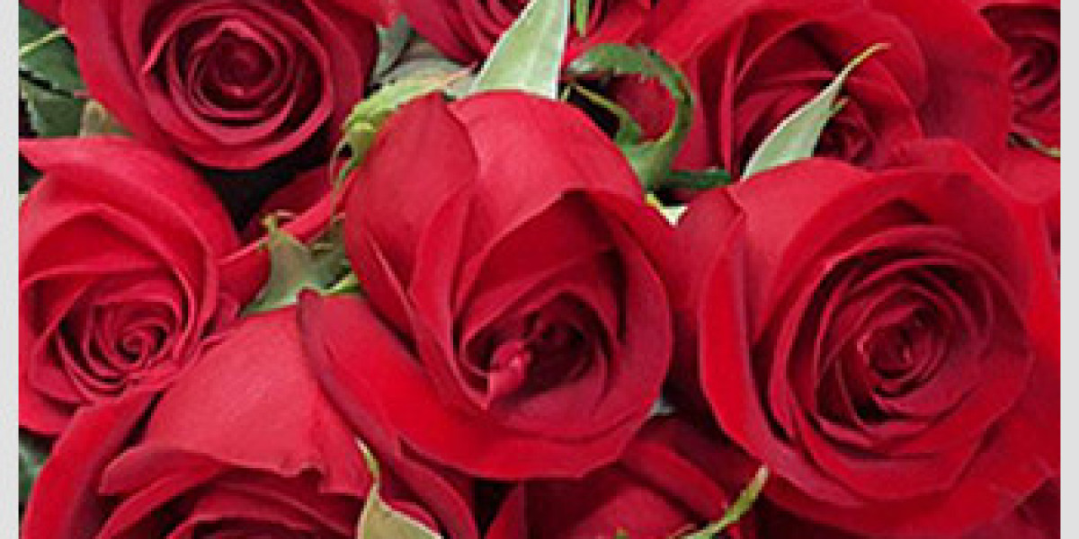 Wholesale Roses: A Comprehensive Buyer's Guide