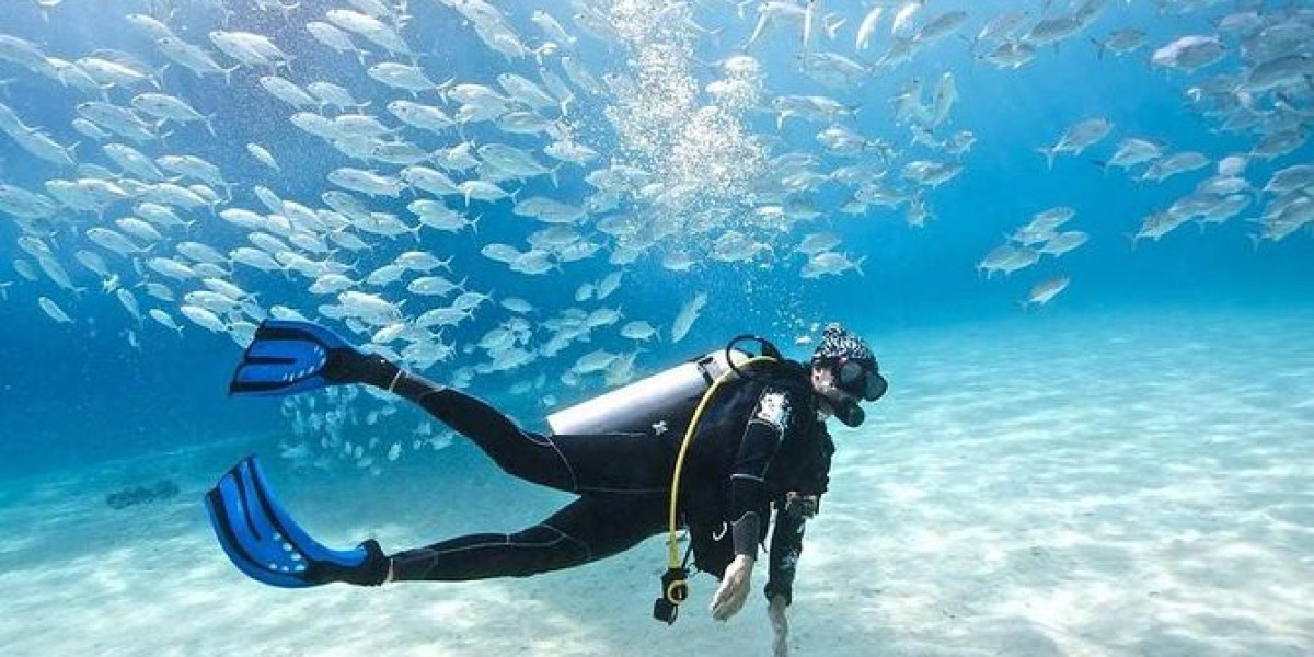 Hurghada Diving: Immerse Yourself in a World of Color and Beauty