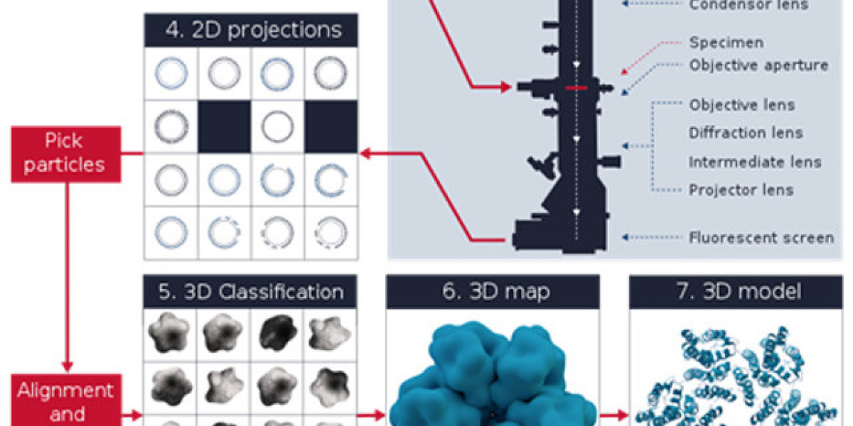 Future of Cryo-electron Microscopy: Market Size, Share, and Trends