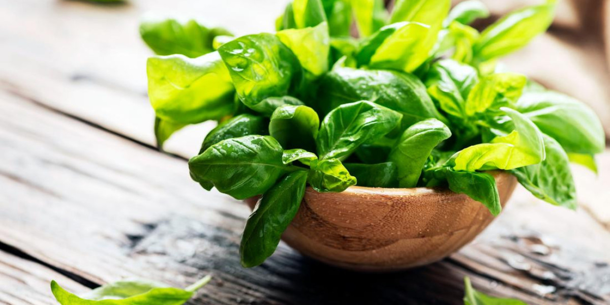 What Is Basil Good For In Men?