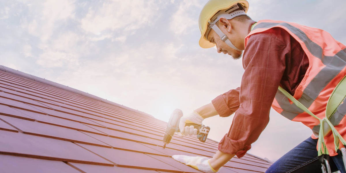 Excellence Above Your Head: St. Paul Roofing Experts!