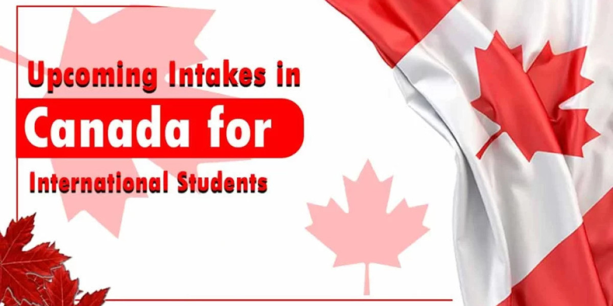 Upcoming Intakes in Canada for International Students: Complete Guide