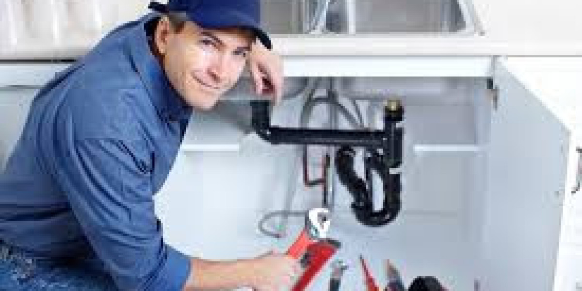 Choosing the Right Plumber and Plumbing Company in Hollywood, FL