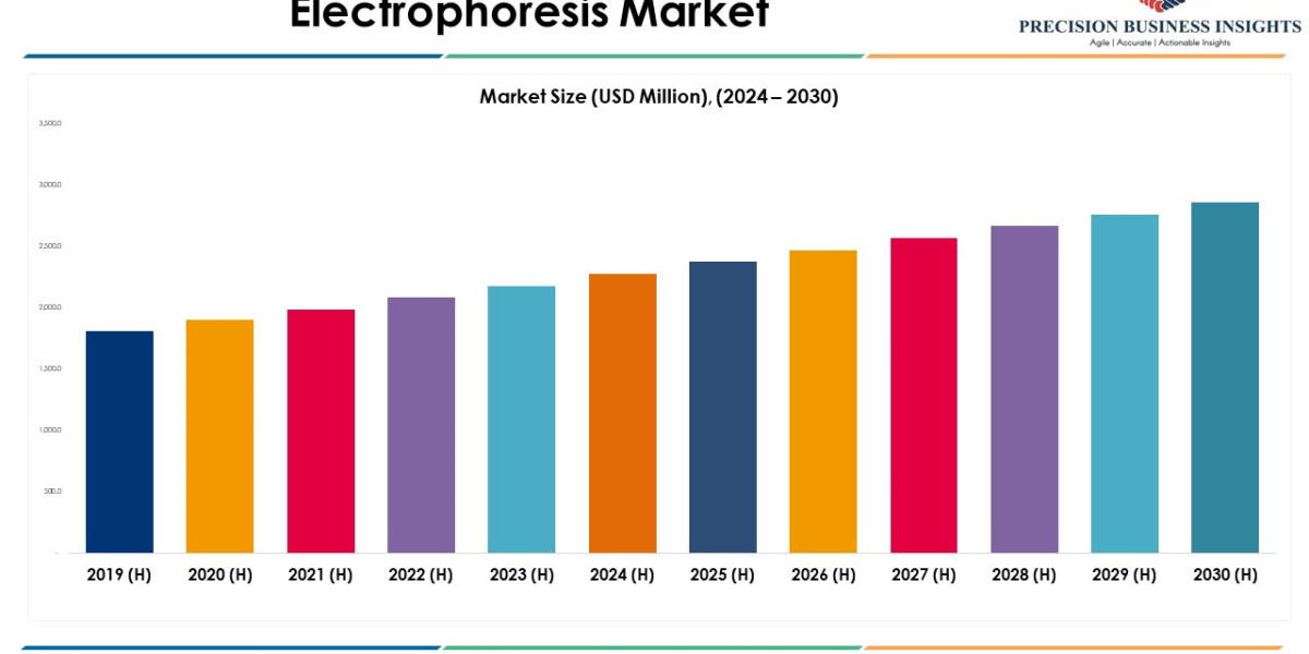 Electrophoresis Market Size, Share and Growth Report 2030