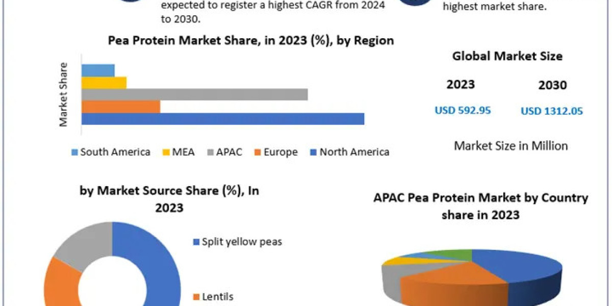 Pea Protein Market Industry Outlook, Size, Growth Factors, and Forecast To 2024-2030