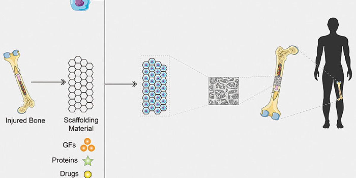 Organoid Construct Kit to Advance Drug Discovery