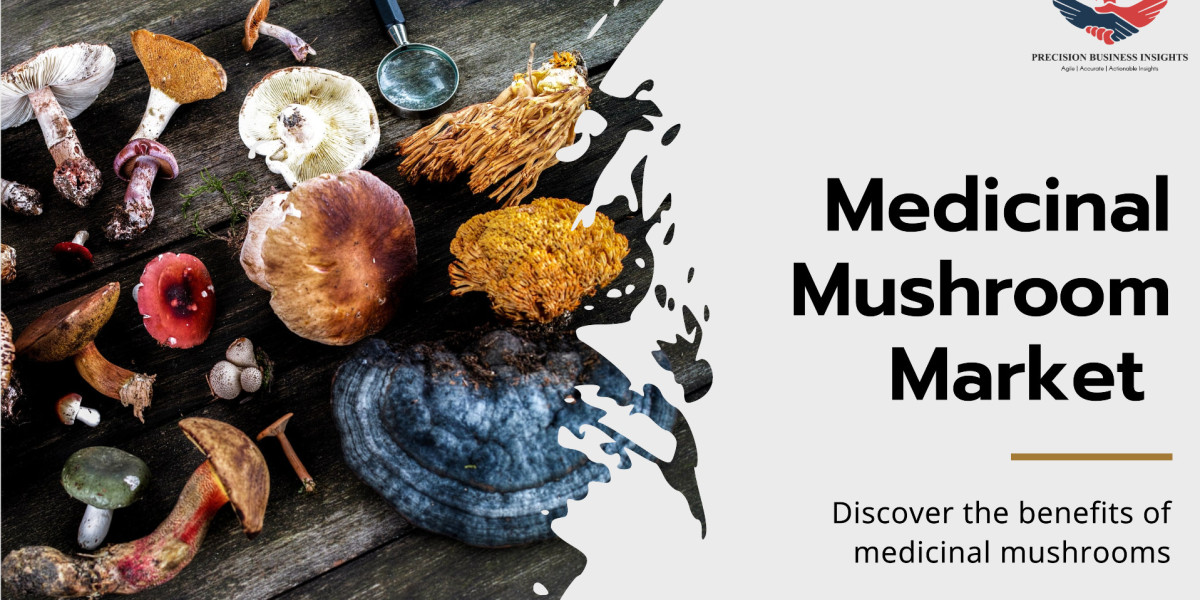 Medicinal Mushroom Market Outlook, Trends, Growth Insights Forecast 2024