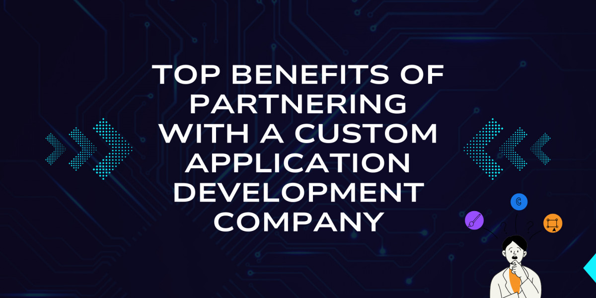 Top Benefits of Partnering with a Custom Application Development Company