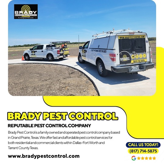 Brady Pest Control Cedar Hill, TX | Cedar Hill Tx Pest Control Expert