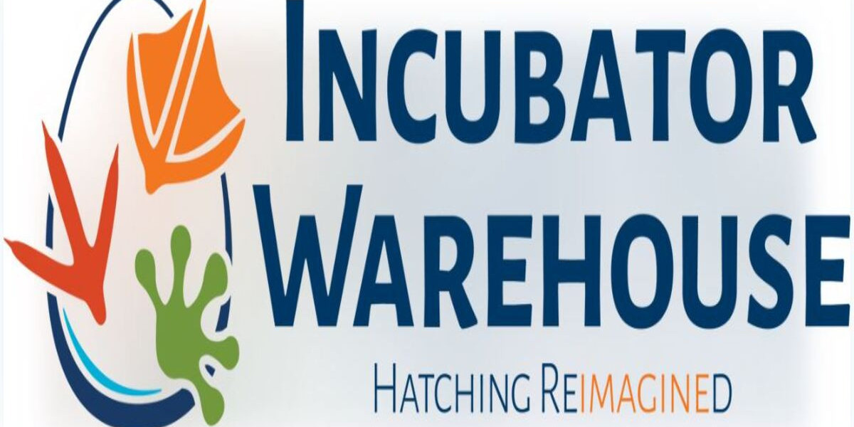 Affordable Egg Incubator Kits That Deliver High Hatch Rates