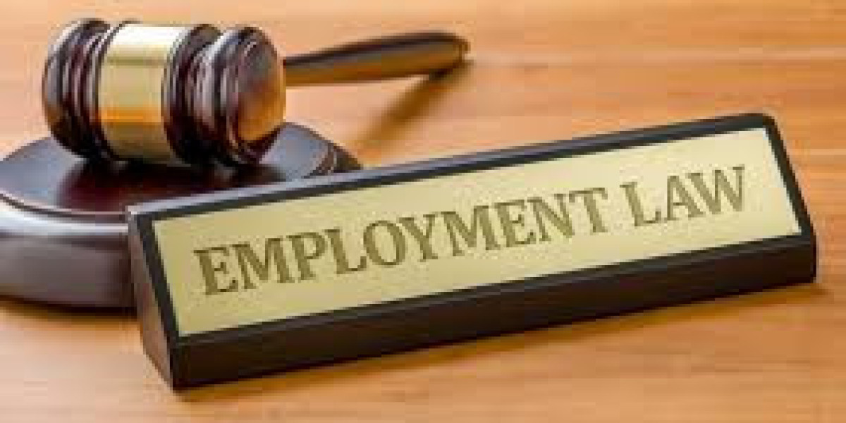 Top Houston Employment Lawyers: Advocates for Workplace Rights and Fairness