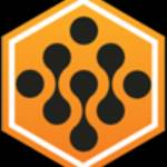 Digihive org Profile Picture