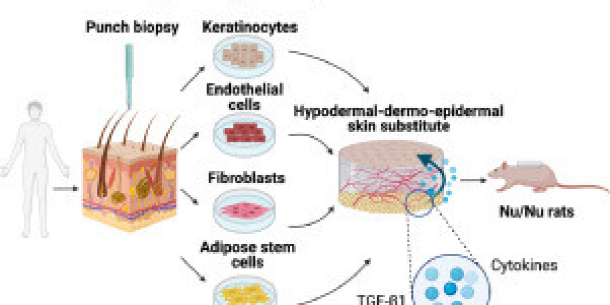 Biological Skin Substitutes Market — Global Industry Trends, Growth, Opportunities and Forecasts