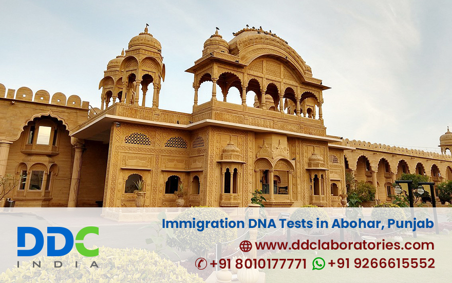 Immigration DNA Tests in Abohar, Punjab - DDC Laboratories India