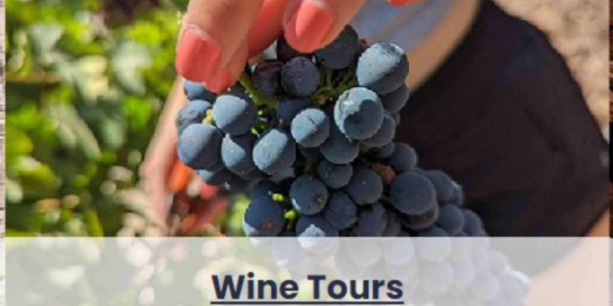 Wine Tours Israel : Exclusive Israel Tours