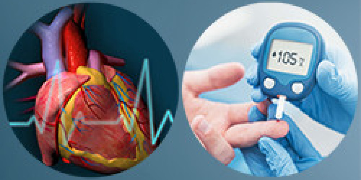 Navigating the Diabetology Fellowship Application Process