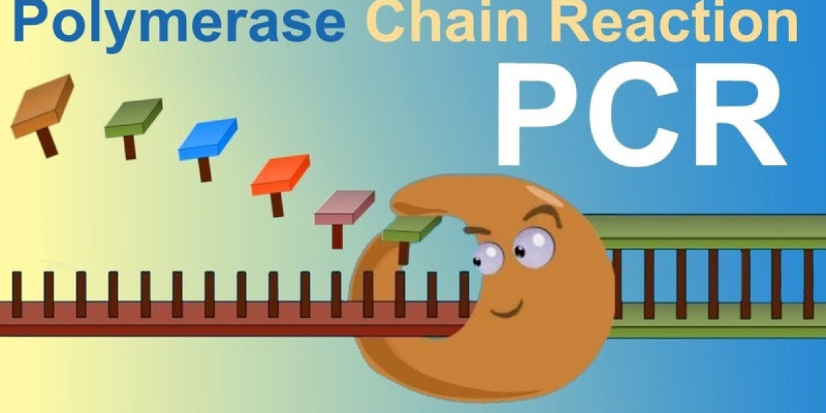 PCR Technology Market Growth Fueled by Advances in Molecular Biology