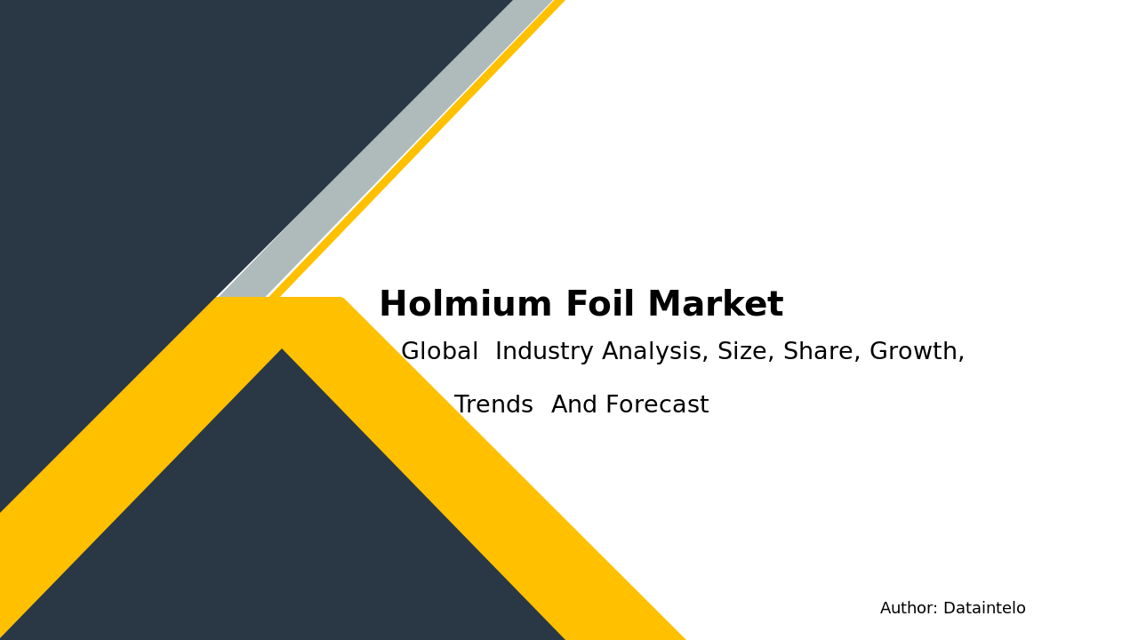 Holmium Foil Market Research Report 2032