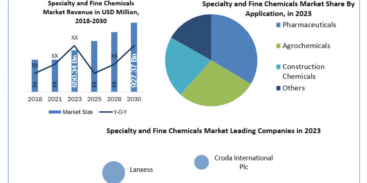 Specialty and Fine Chemicals Market Size, Forecasting Share and Scope for 2024-2030