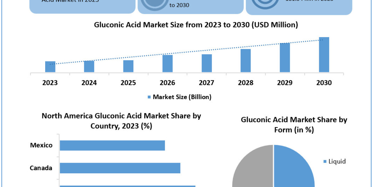 Gluconic Acid Market	Metrics Matrix: Segmentation, Outlook, and Overview in Market Dynamics | 2024-2030