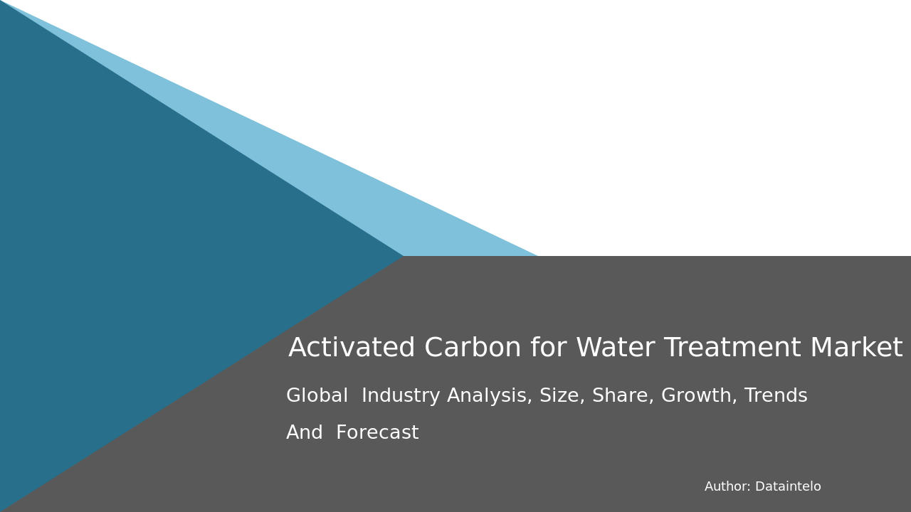 Activated Carbon for Water Treatment Market Research Report 2032