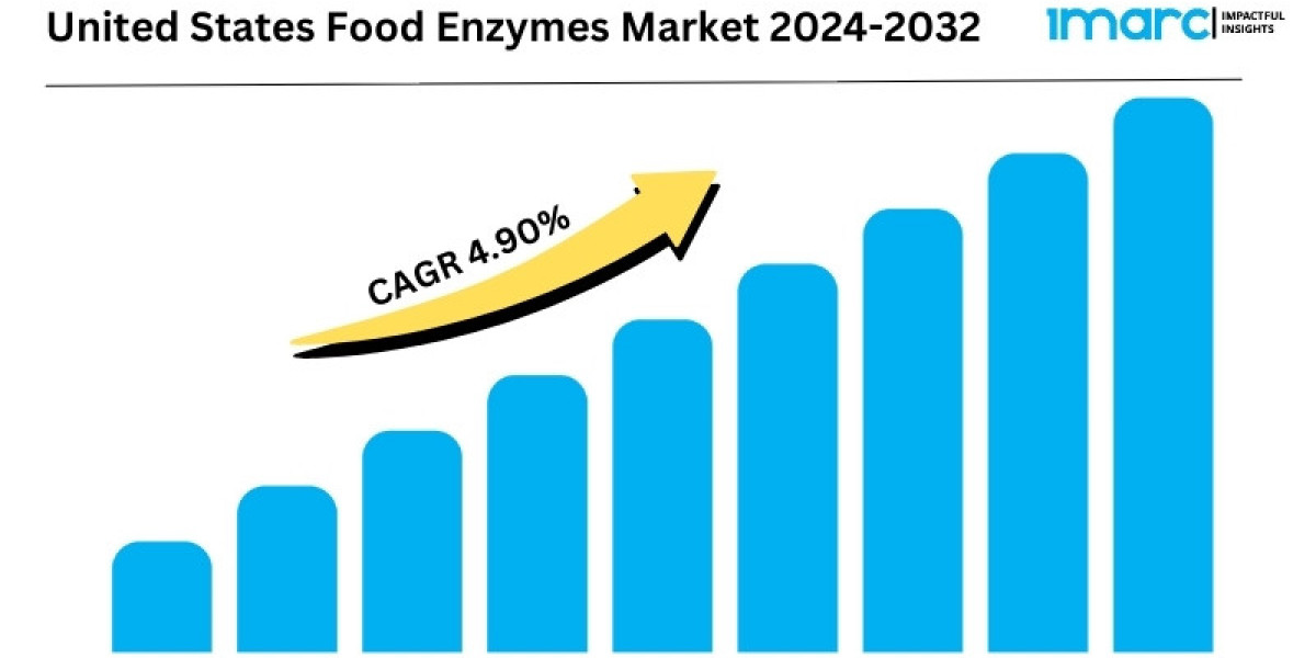 United States Food Enzymes Market Report 2024, Industry Overview, Growth Rate and Forecast 2032