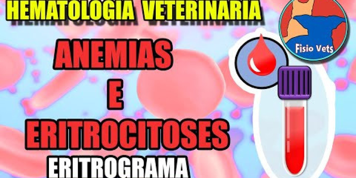 Cuidados Essenciais: O Impacto do PRÉ 3 na Saúde de Cães e Gatos