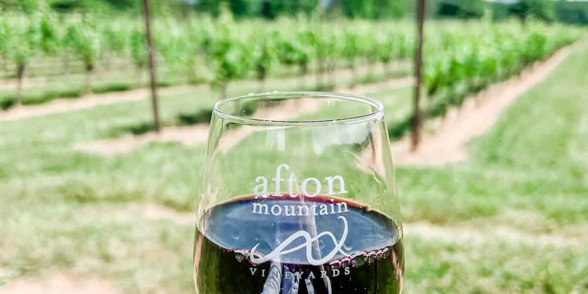 The Best Virginia Wineries to Visit on a Bus Tour