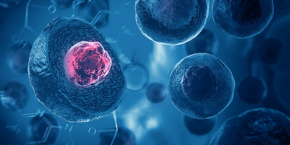 Cell Therapy Market Size, Share, Trends & Forecast - 2024 - 2031