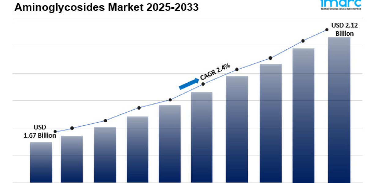 Aminoglycosides Market 2025: Industry Overview, Size, Share, Trends and Forecast Till 2033