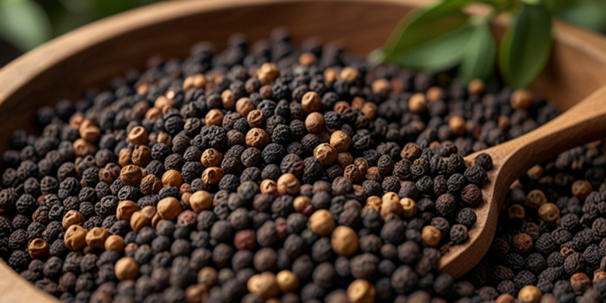 Black Pepper Processing Plant Report 2024: Project Details, Requirements and Cost Involved