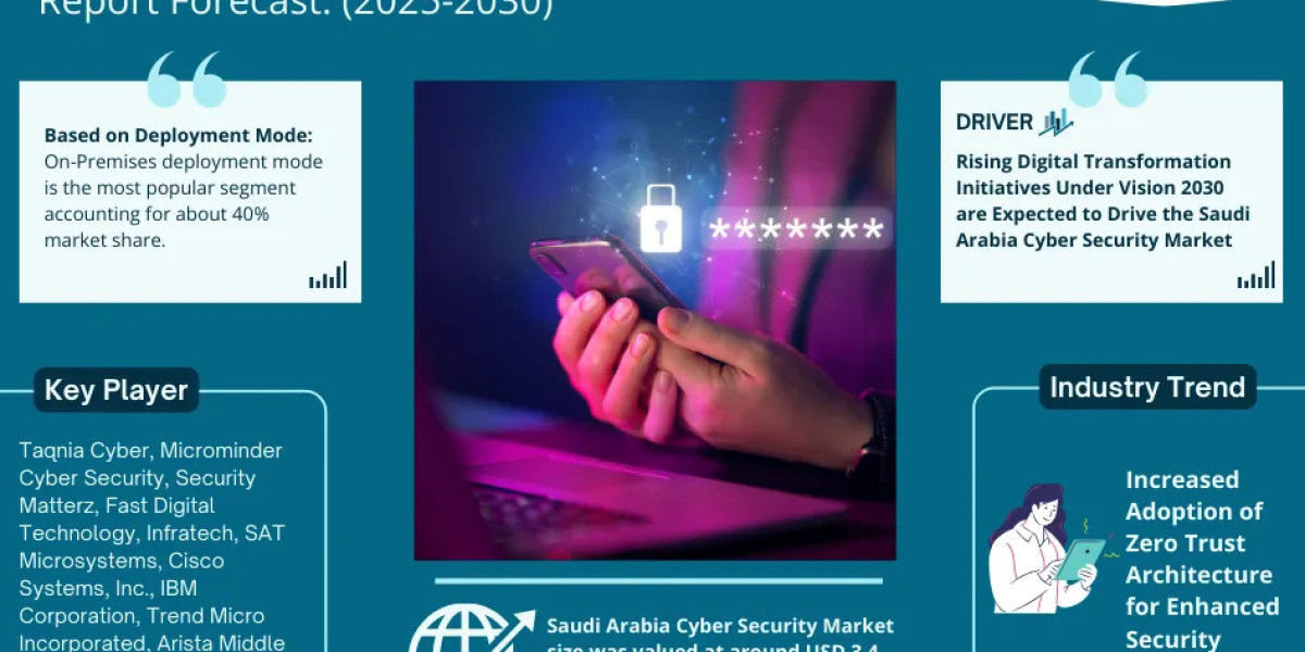 Saudi Arabia Cyber Security Market 2025-2030, Size, Share, Growth, Report and Forecast