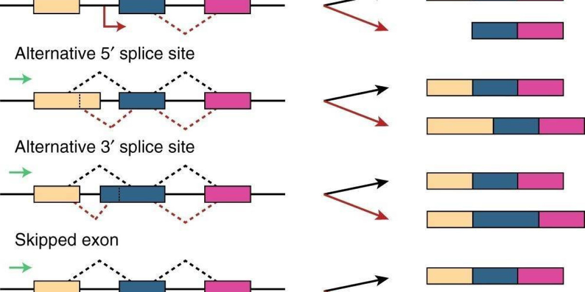 Unveiling Gene Isoforms by RNA Sequencing