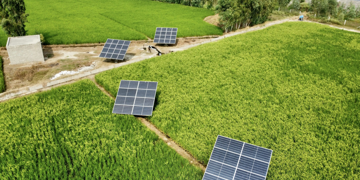 Empowering Agriculture with Solar Solutions in Lahore