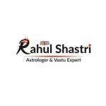 Pt Rahul Shastri profile picture